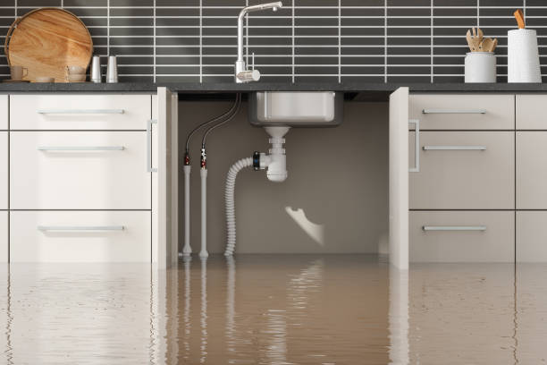 Professional Water damage restoration in Woodbury, MN